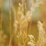 Destination Cambodia | Phnom Penh – Day 3